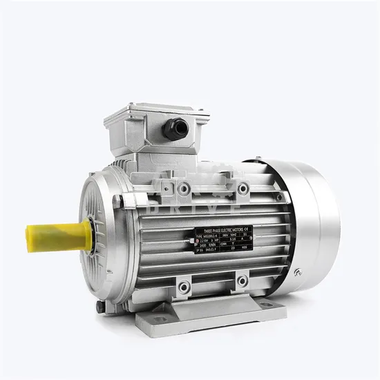 AC Induction Electric Motor 2.2kw Single Phase 2HP for Rice Mill