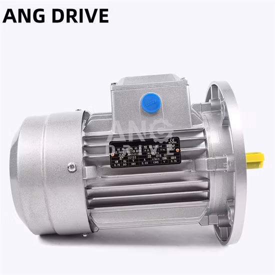 AC Induction Electric Motor 2.2kw Single Phase 2HP for Rice Mill