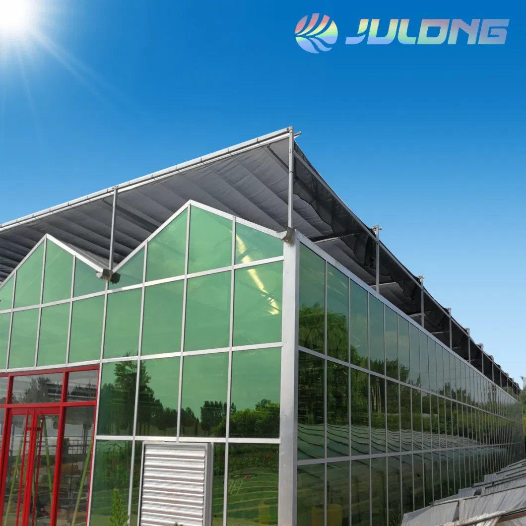 Hot DIP Galvanized Steel Frame Agriculture Equipment Glass Greenhouse