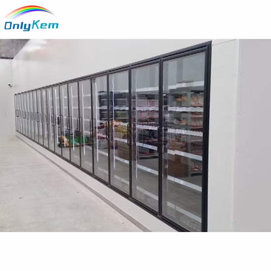 Marchez dans le refroidisseur/congélateur avec porte en verre d'affichage pour la cave à bière